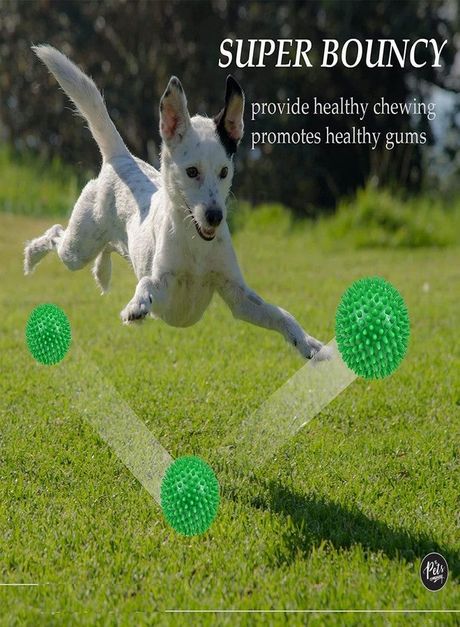 PET FUN كرة مضغ مطاطية طبيعية مدببة للكلاب من بيت فن، 2.8 بوصة | لعبة مضغ نطاطة للجراء والكلاب الصغيرة والمتوسطة | عبوة من 3 قطع - Image 3